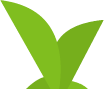 Small plant 1